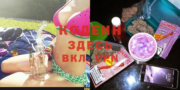 гидра Абаза