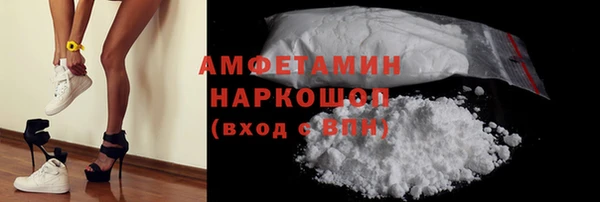 гидра Абаза