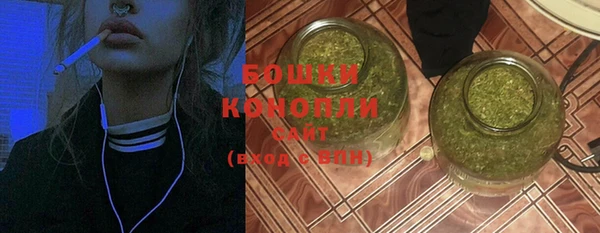 гидра Абаза