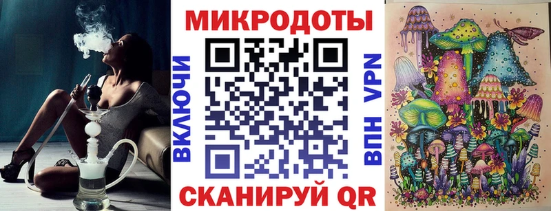 где продают   Темников  Галлюциногенные грибы Cubensis 